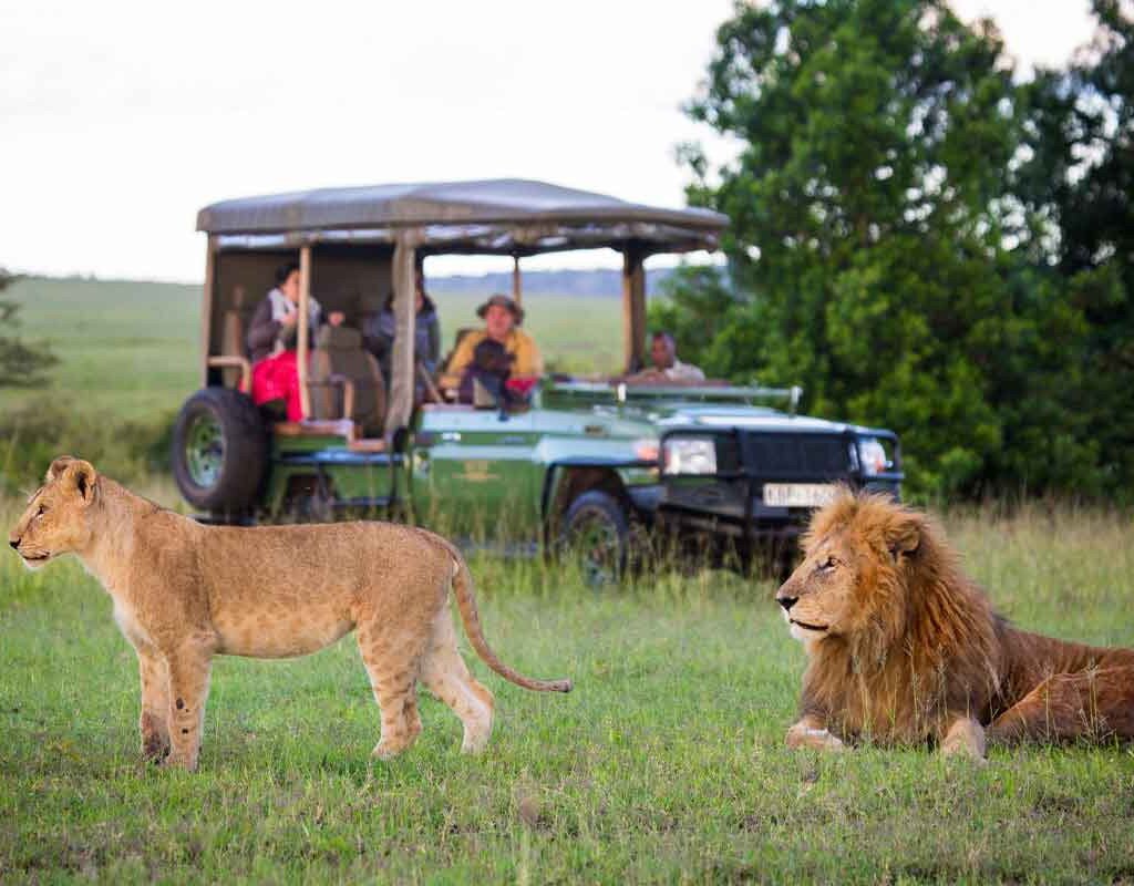 Kenya Safaris.